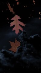 Wall Mural - vertical happy halloween gravestone falling leaves 4k loop features a black sky and leaves falling d