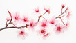 Pink cherry blossoms branch in full bloom