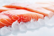 Raw salmon fish filet with ice