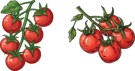 Sticker - Ripe tomatoes on branch. Natural fresh cartoon vegetables