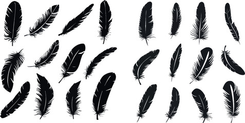 Canvas Print - Black silhouettes of a bird feather collection