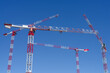 Construction cranes in front of the blue sky at a large construction site