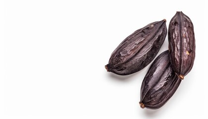 Poster - Tonka bean isolated on white background with copy space