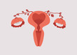 Uterus organ and follicular tubes in bloom.Good female health and  reproductive system function. Gynecological exam and illness prevention for women. vector illustration