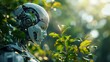 Humaniod robot suspiciously observing a small green plant, morning light.