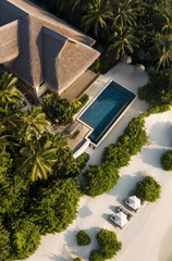 Poster - Aerial view of the tropical coastline and sandy beach with an oceanfront villa with pool surrounded by palm trees and tropical plants