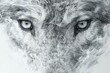 White wolf face with water drops on white background,  Digital painting