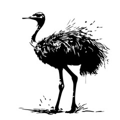 Poster - Ostrich with a splatter paint background