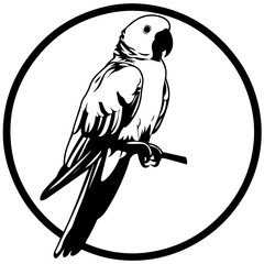 Sticker - parrot in circle