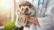 hedgehog in doctor hands Generative AI