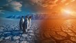A group of penguins standing on a melting ice floe. The sky is a bright orange, and the sun is setting