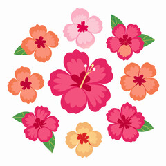 Wall Mural - minimal Hibiscus flower set vector art illustration  (20)