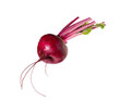 Beetroot on white