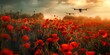 Drones flying over the red opium poppy field