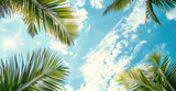 Fototapeta Góry - Sun shining brightly through green palm tree leaves against a blue sky, creating a beautiful natural pattern