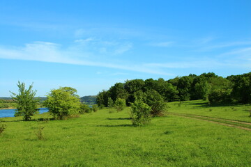 Wall Mural - A grassy field with trees and a body of water in the distance