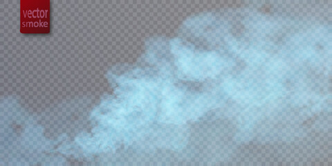Poster - Translucent nebula vector background. Colorful smoke smog on a transparent background. Vector