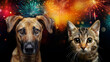 Dog and Cat Scared of Fireworks. Stress on New Year Concept