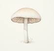 Minimalist poisonous mushroom illustration in light tones