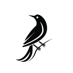 Wall Mural - Minimalistic black and white bird illustration sitting on a branch.