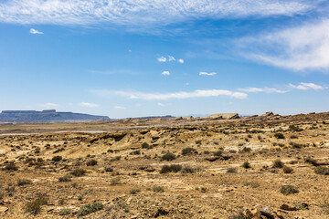 Wall Mural - landscape of the desert