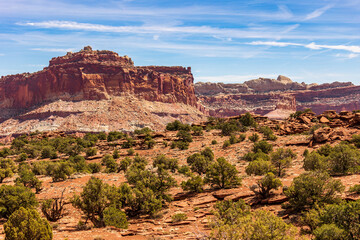 Wall Mural - Beautiful landscape view of Capitol Reef National Park.