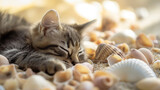 Fototapeta  - Gato deitado dormindo em cima de conchas na praia - wallpaper HD