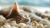Fototapeta  - Gato deitado dormindo em cima de conchas na praia - wallpaper HD