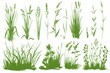 Verdant Symphony: A Collection of Green Plants and Grasses in Harmonious Assembly.