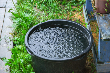 a black barrel for collecting rainwater. collecting rainwater in plastic container. collecting rainw