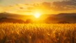 Expansive field of barley with a sun setting in a bright yellow sky, close-up on the golden grains, raw natural beauty