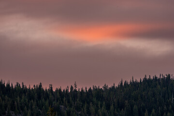 Poster - Dark Pine Ridge Under Pink Clouds At Sunset