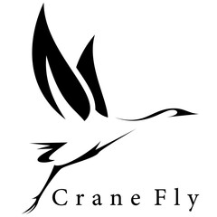 Wall Mural - crane bird fly logo design vector	