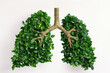 A leafy bush shaped into human lungs, abstract, solid white background