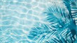 © Bird Visual - Top view of tropical leaf shadow on pool water surface. Beautiful abstract background concept banner.