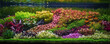 Colorful planted aquarium tank. Aquatic plants tank. Dutch inspired aquascaping with colorful aquatic stem plants. Aquarium garden, selective focus with blur motion of fish swiming