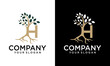 © arsyaka - Creative letter h tree logo design vector graphic idea creative