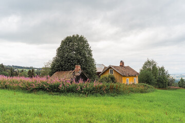 Wall Mural - abandoned farm in summer