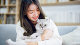 Fototapeta  - Portrait of young Asian woman holding cute cat. Female hugging her cute long hair kitty. Adorable pet concept