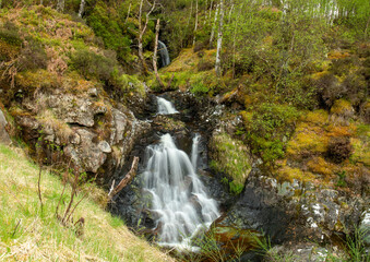 Wall Mural - Beautiful waterfall between rocks in the forest