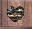 Retro background in steampunk style with heart-shaped hole in wooden boards and vintage metal machine details, pipeline, gear. Copy space for text. Can be used for industrial, mechanical design