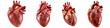 © DETHAL - Set of realistic human heart isolated on transparent and white background