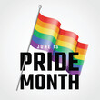 June is pride month - Text and Rainbow pride flag with waving on pole vector design