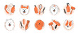 Different dogs and tools for animal hair grooming, haircuts, bathing, hygiene. Dog care. Vector illustration for pet care salon.
