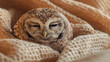 Small owl comfortably nestled within the folds of a soft, knit blanket, its eyes half-closed in a serene and peaceful expression.