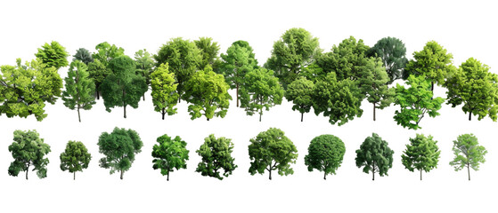 Canvas Print - Green trees isolated PNG transparent background