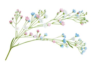 Poster - A vibrant drawing of assorted flowers, suitable for various projects