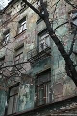 Aufkleber - A building with a tree in front. Suitable for architectural and environmental themes