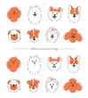 Various animal face, different emotions and breeds. Happy, Angry and sad dog face. Corgi, Akita, spitz , Dachshund, Poodle, Terrier, Pug. Vector illustration