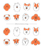 Fototapeta Pokój dzieciecy - Various animal face, different emotions and breeds. Happy, Angry and sad dog face. Corgi, Akita, spitz , Dachshund, Poodle, Terrier, Pug. Vector illustration